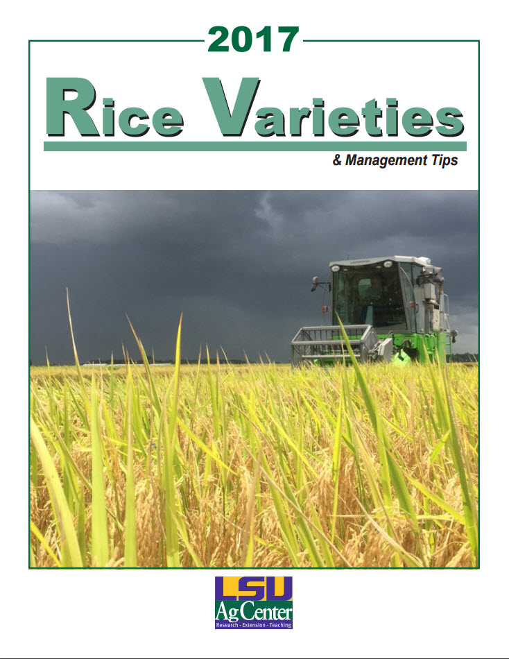 Rice Varieties and Management Tips